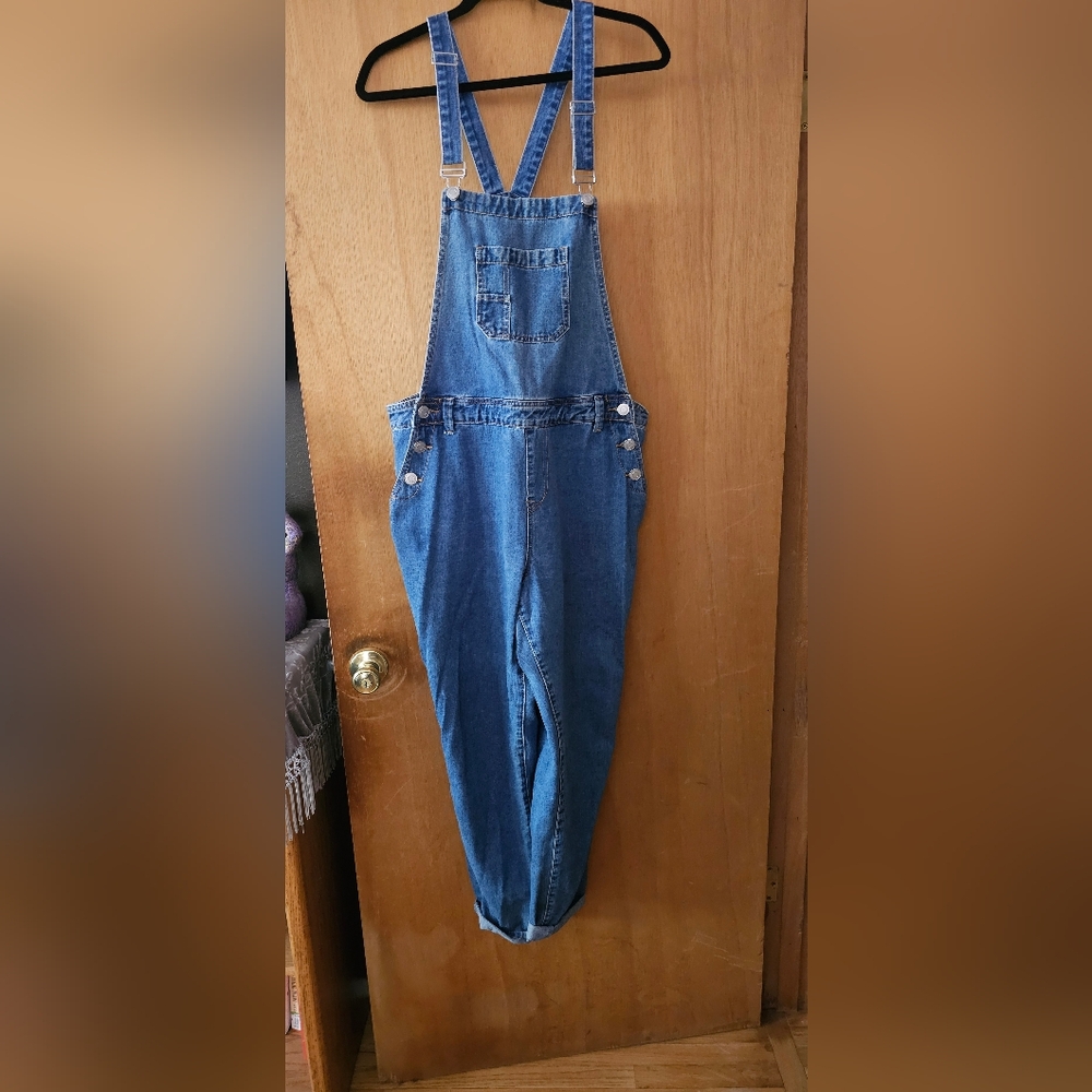 Forever 21+ Denim Stretch Overalls